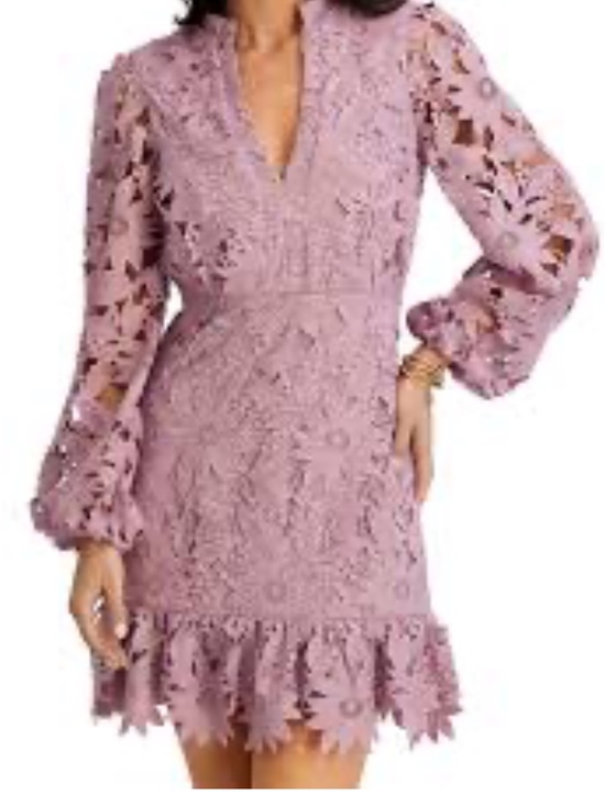 Kensie Dresses & Skirts - Kensie Dusty Lavender Floral Lace Mini Dress NWT